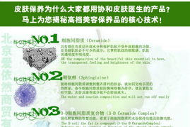 蘆薈膠與個人信用 修復外在肌膚與內在信譽的指南